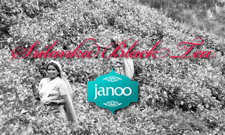 JANOO 锡兰红茶 标志及产品包装设计